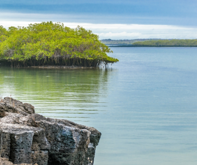 Todo lo que puedes hacer si vas a Santa Cruz