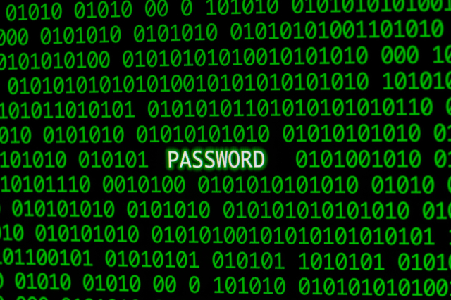 The importance of binary code in computing 