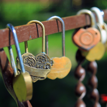 Comment cultiver la fidélité dans différents domaines