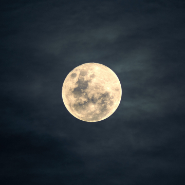 Calendrier lunaire pour novembre 2025