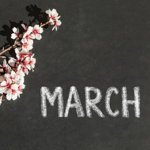 Calendario de días feriados de Marzo en Ecuador 2025