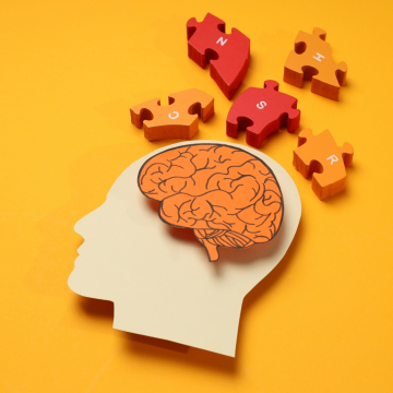 Cómo funciona la memoria humana