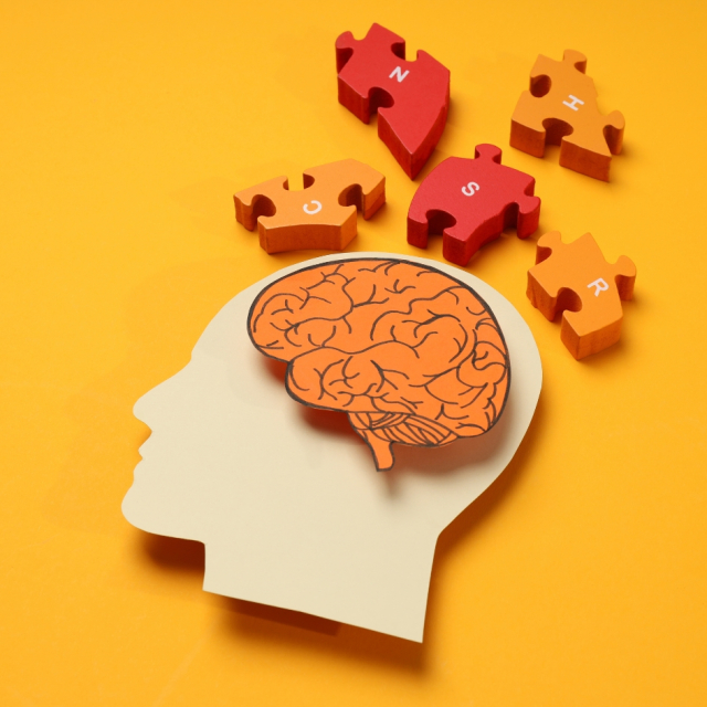 Cómo funciona la memoria humana